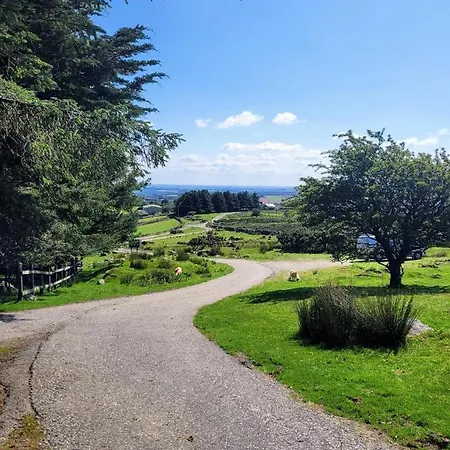 Wheal Tor & Glamping Lodge