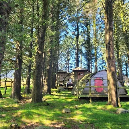 Wheal Tor & Glamping * Liskeard