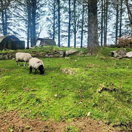 Wheal Tor & Glamping Lodge Liskeard